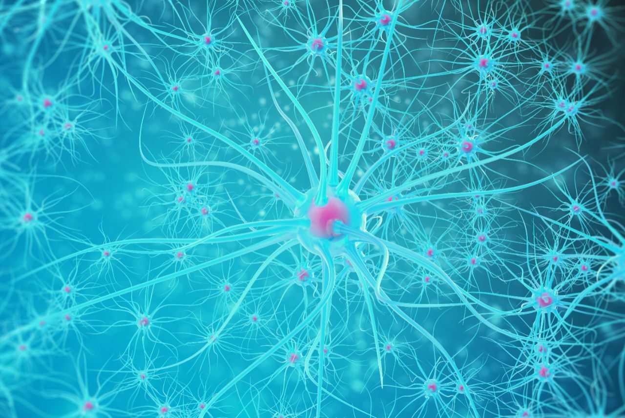 astrocytes astrocytes