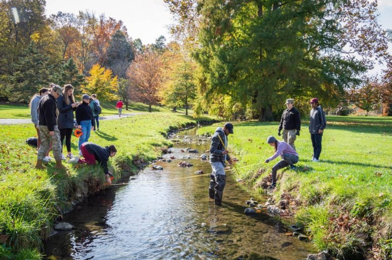 Students do research in a creek.
