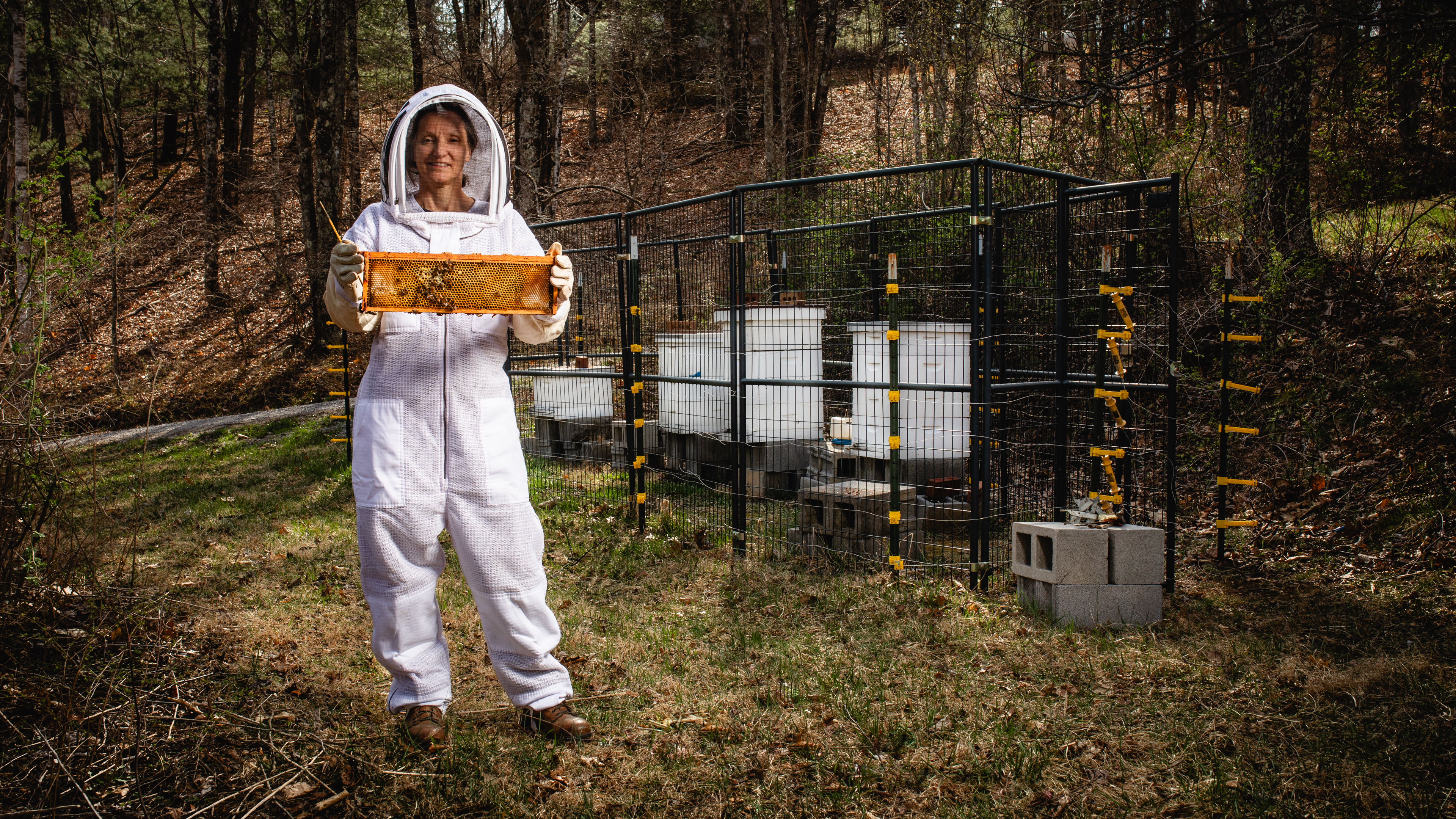 Holley Matusovich in a bee keepers suit holding a tray of honey and bees in front of 4 hive boxes.