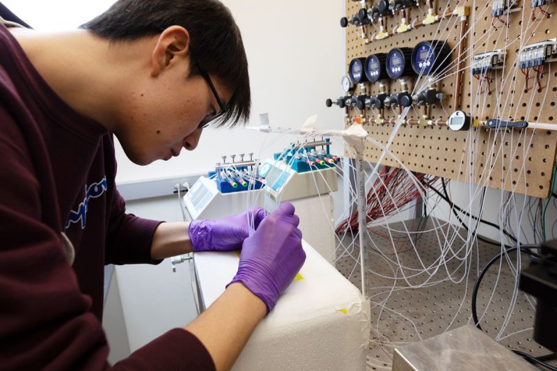 Graduate student working in a lab with purple gloves on.