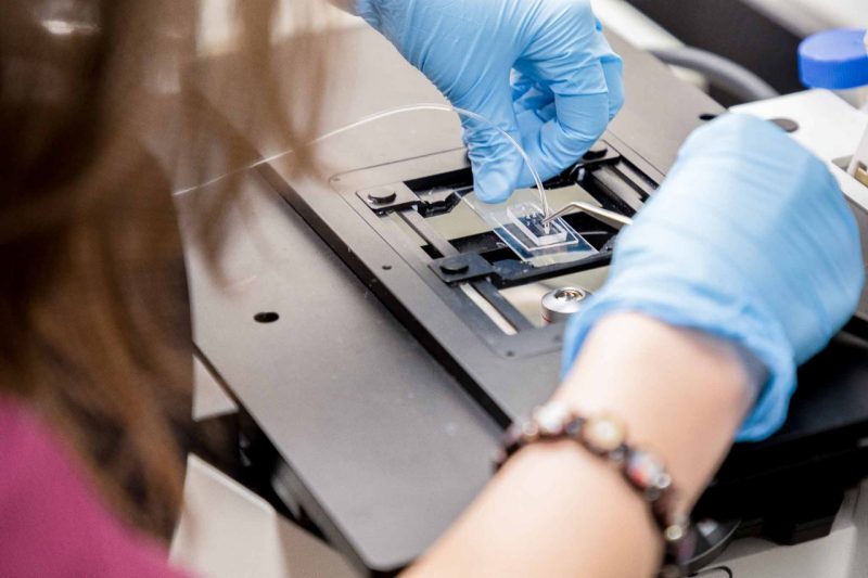 Graduate student sets up a microfluidic chip.