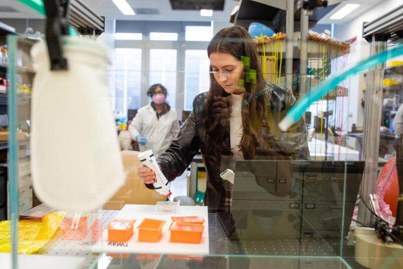 Jessica Gannon working in Eli Vlaisavljevich's lab.