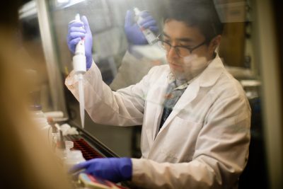 A doctoral student works on a legionella experiment.