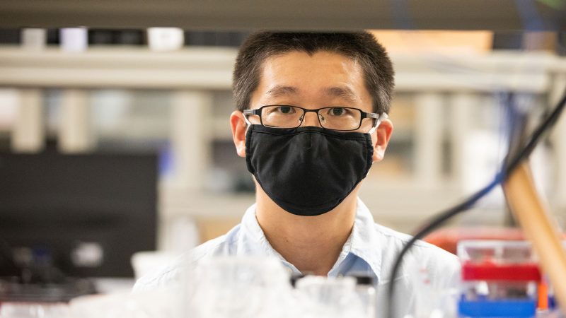 Ling Li with a mask on in his lab.