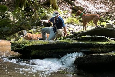 Angelo Biviano navigates a rock by the river's edge while fishing with a dog following him.