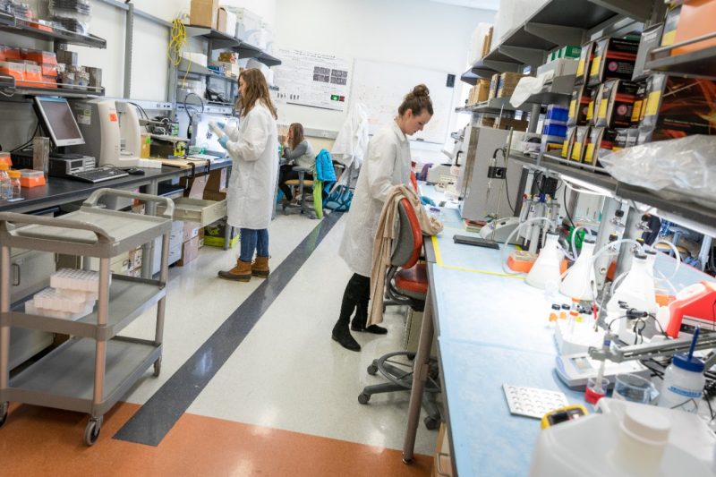 Scott Verbridge's graduate students working in a lab.