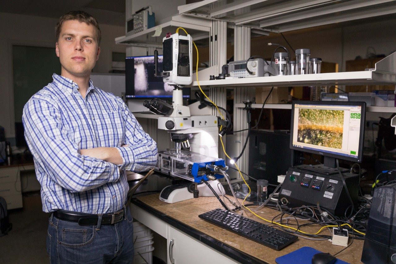Four questions with four NSF CAREER award winners Engineering