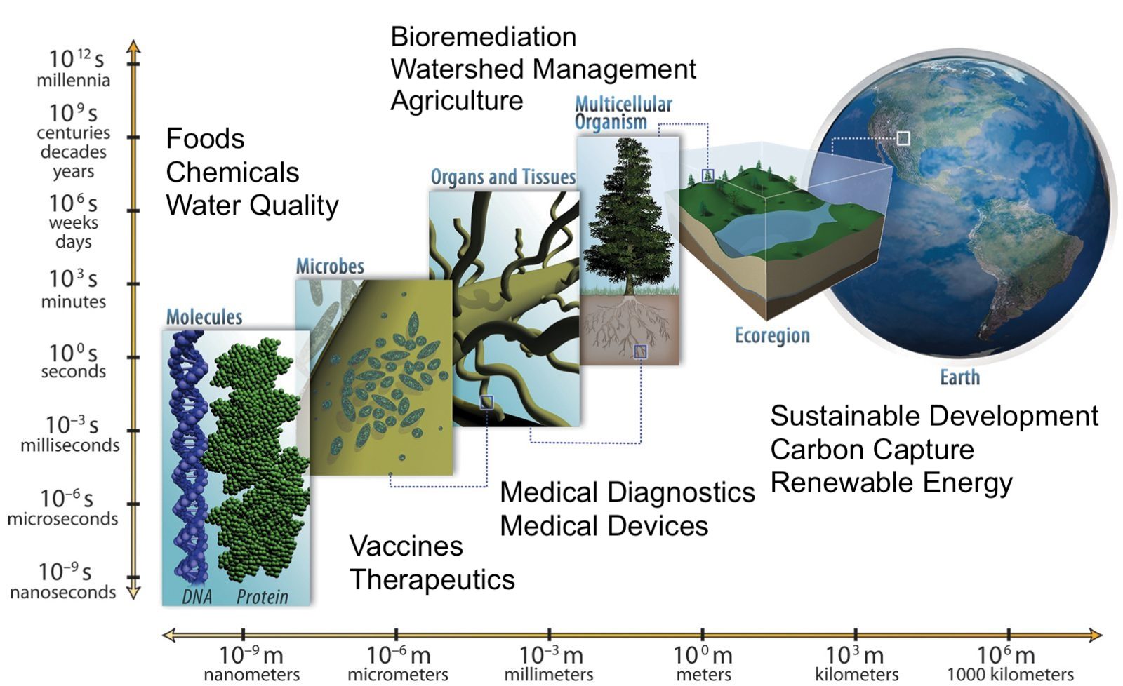 Biological Systems Engineering Engineering Virginia Tech